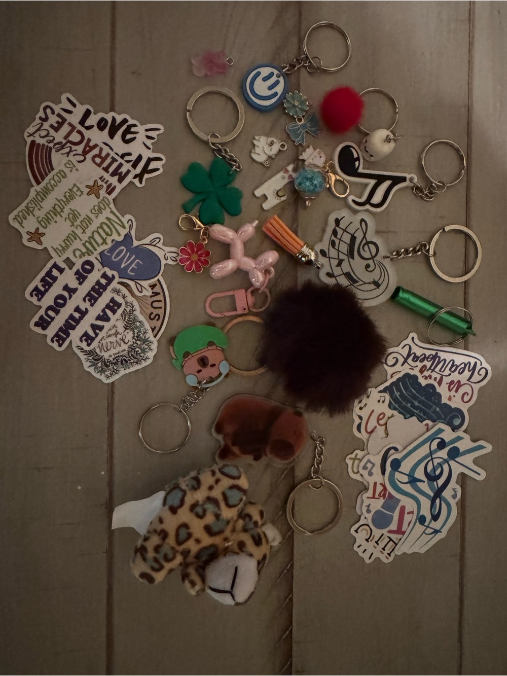 Assorted Keychain Bundle